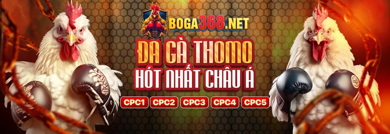 Đá gà trực tuyến s8b113 với trận đấu kịch tính