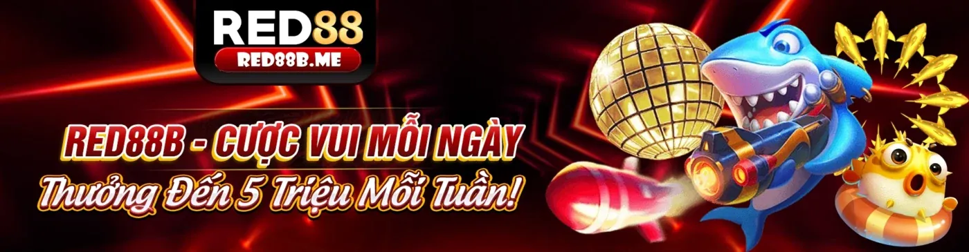 Quy tắc chung về cá cược s8b113